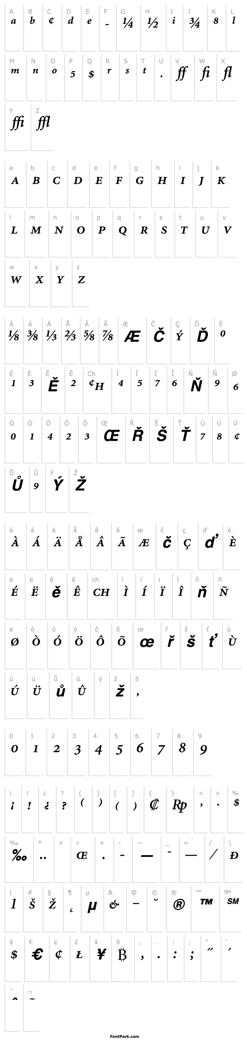 Přehled AtlantixProSSK Bold Italic