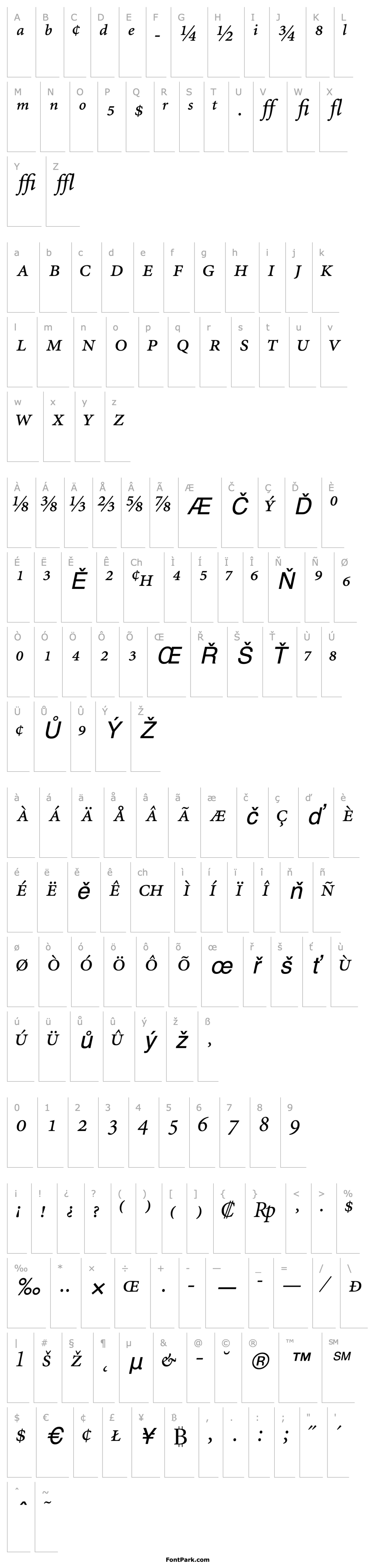 Přehled AtlantixProSSK Italic