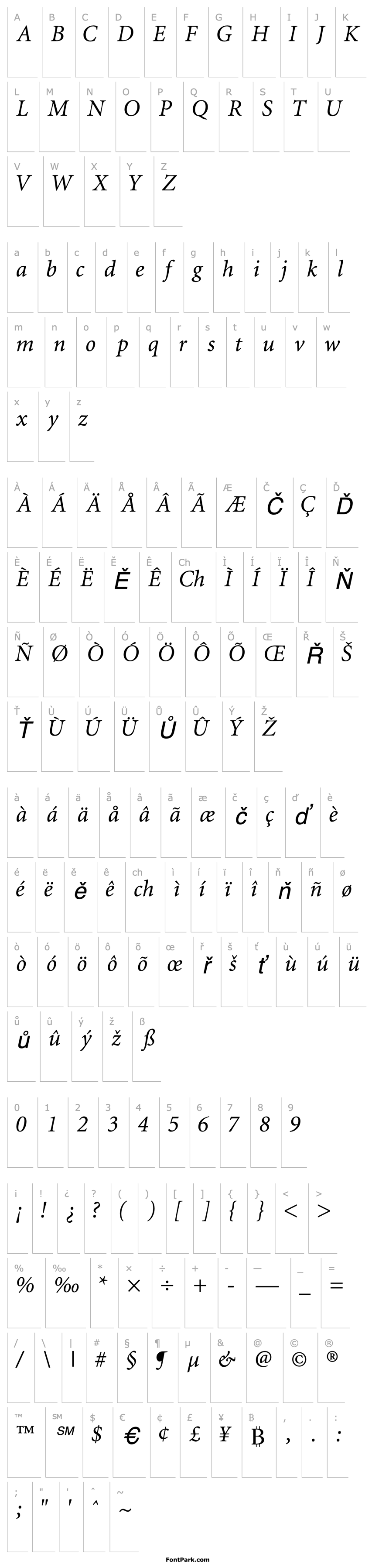 Přehled AtlantixSSK Italic