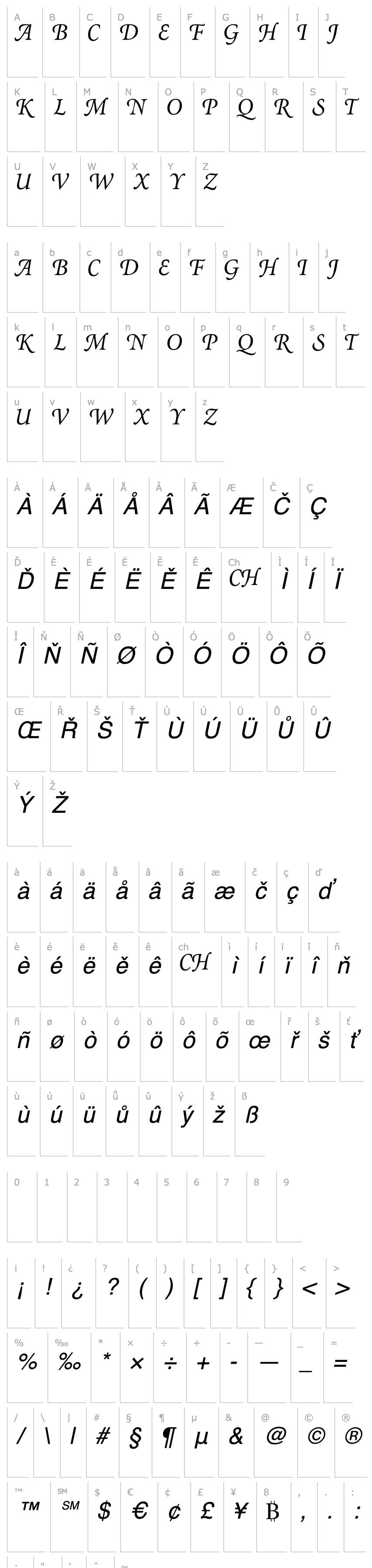 Přehled AtlantixSwashCapsSSK Italic