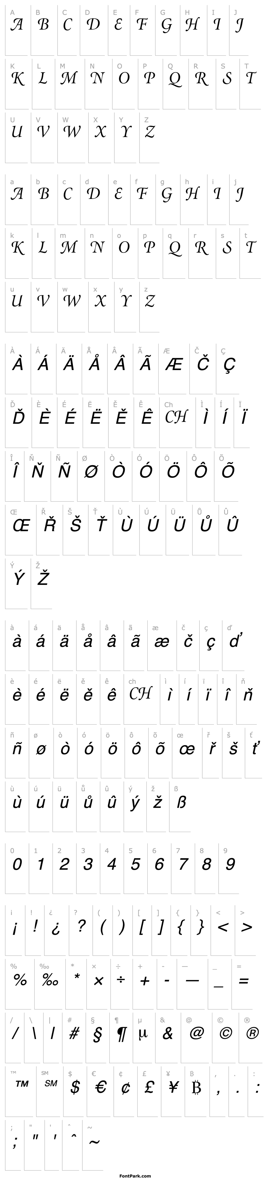 Přehled AtlantixSwashDisplayCapsSSK Italic