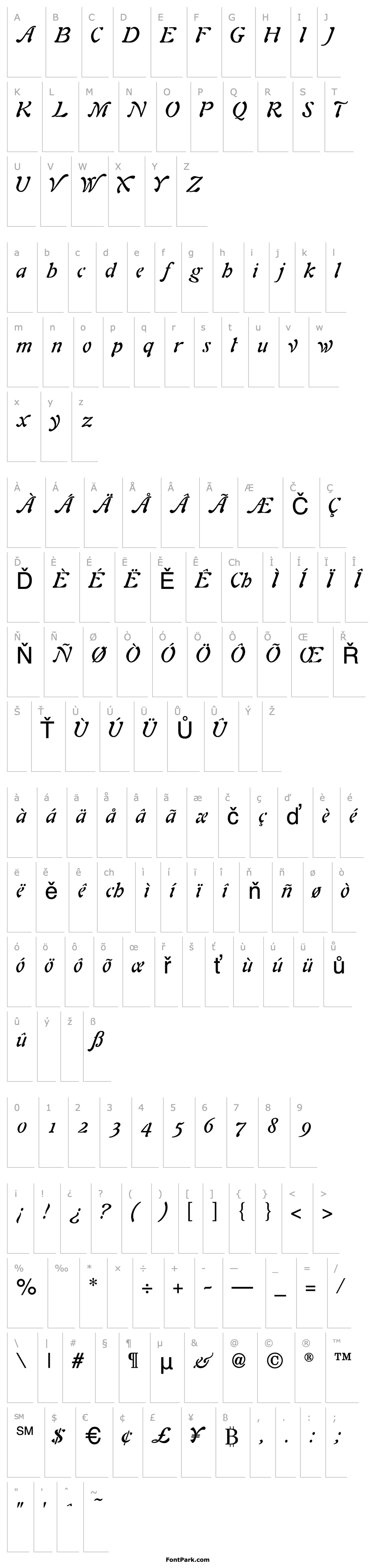 Overview AuriolItalic-Normal