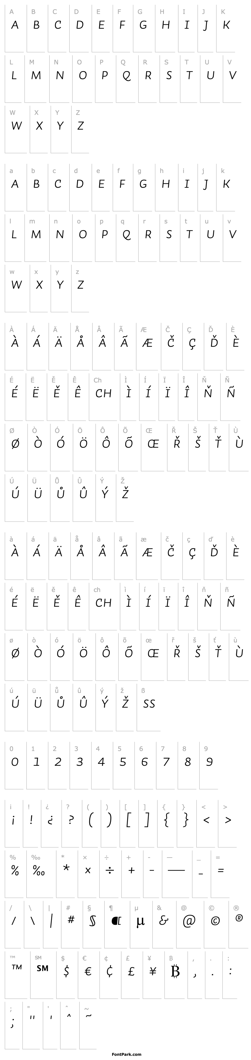 Přehled Auto1-LightItalicSmCp