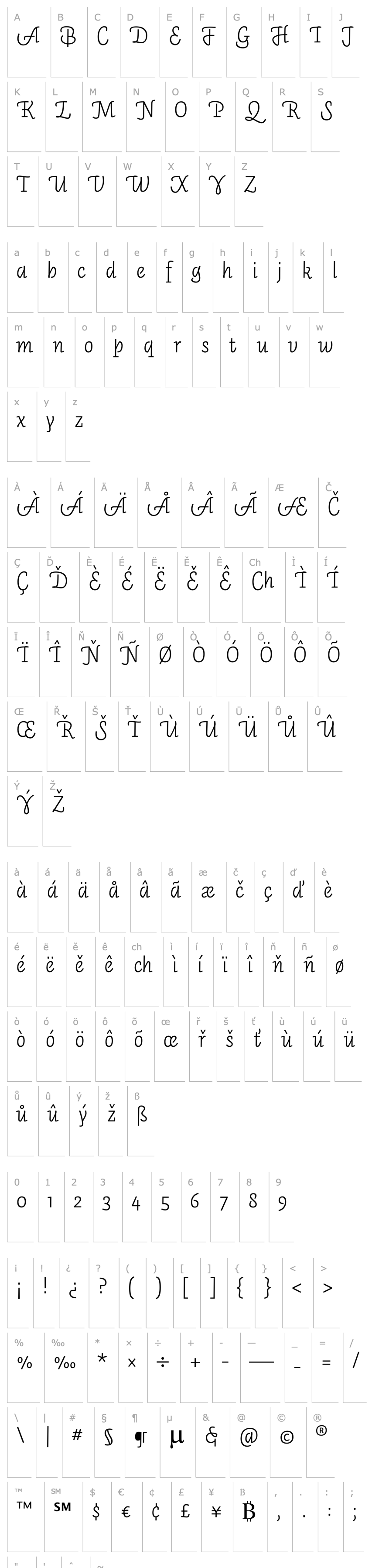 Přehled Auto3-LightItalic