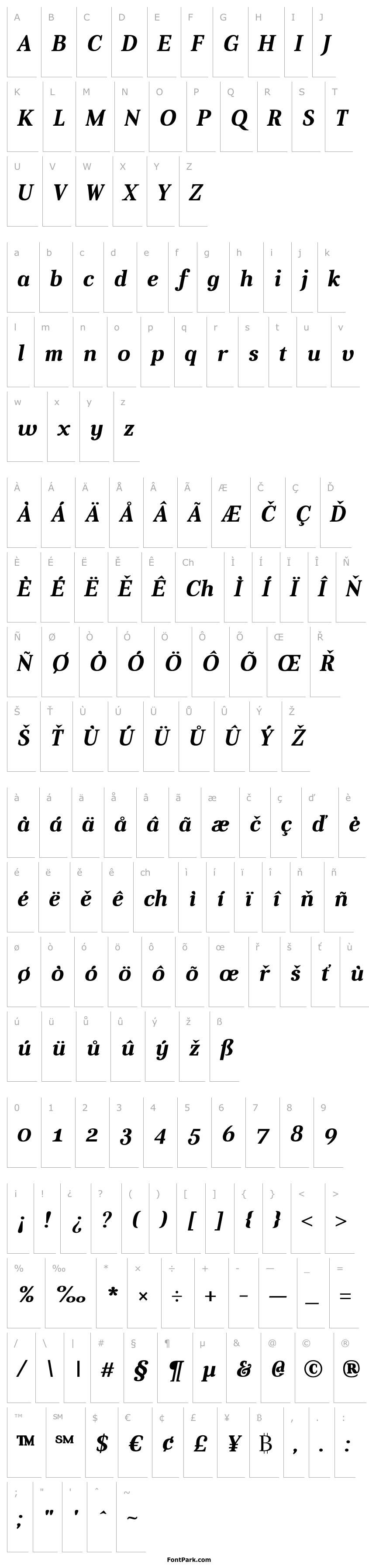 Přehled Aver Bold Italic