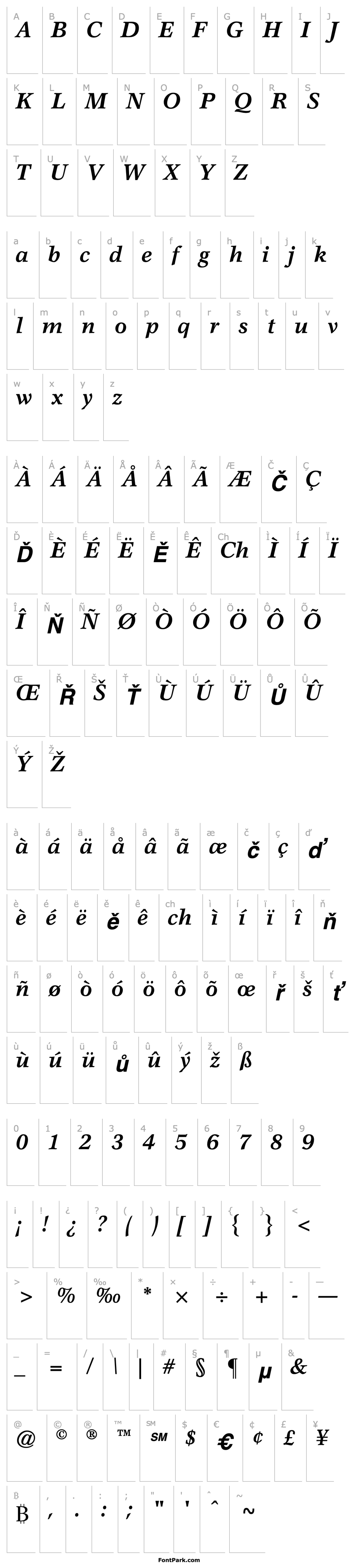 Přehled Axiomatic SSi Bold Italic