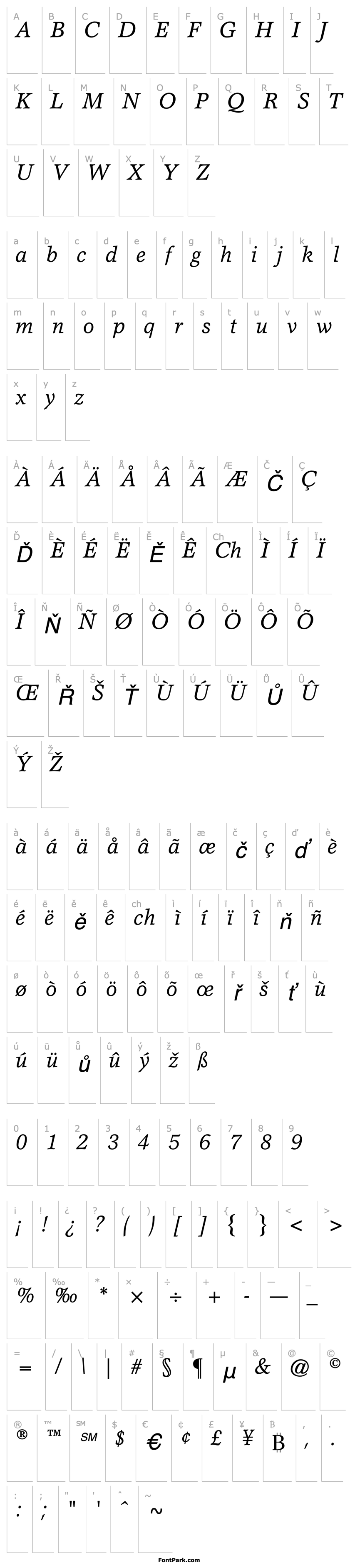 Přehled Axiomatic SSi Italic