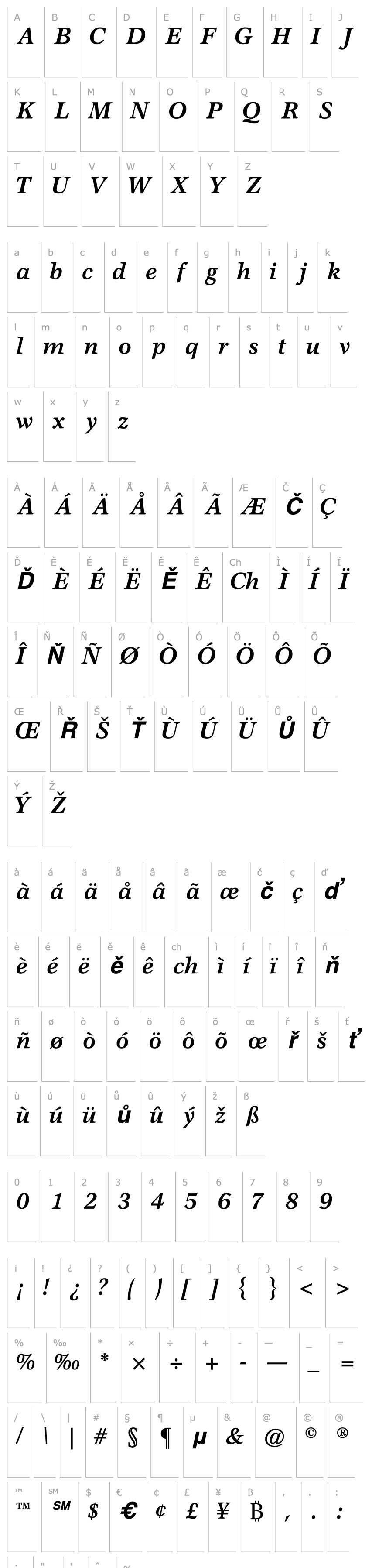 Overview AxiomaticSSK Bold Italic