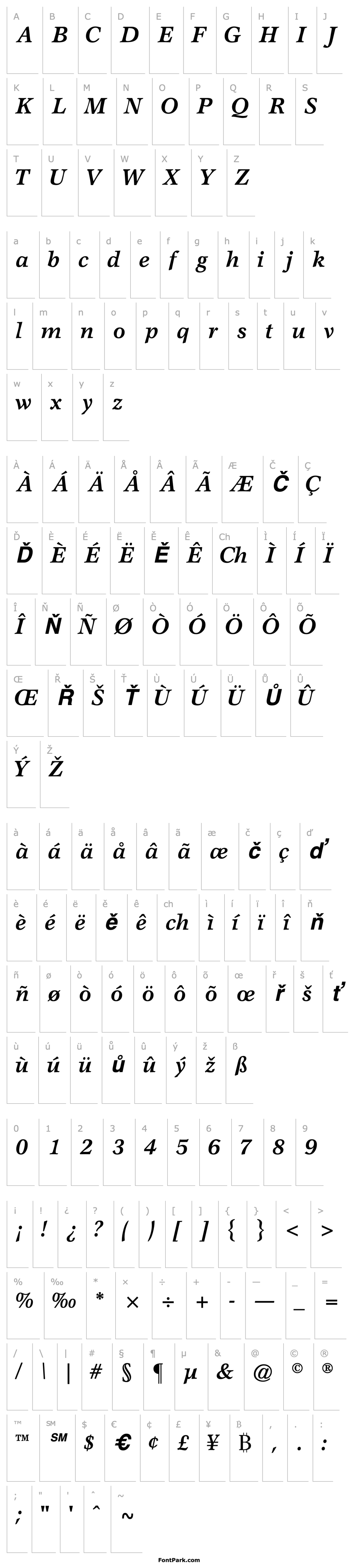 Přehled AxiomaticSSK BoldItalic