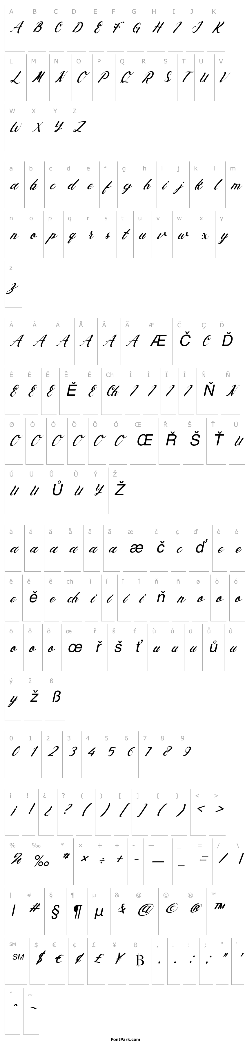 Přehled Ayunda Italic