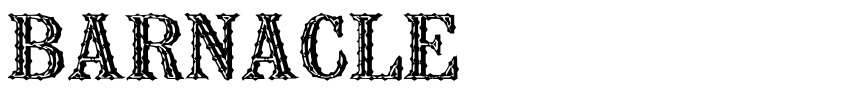 Preview BARNACLE