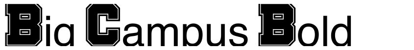 Preview Big Campus Bold