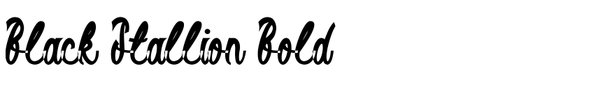 Preview Black Stallion Bold