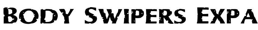 Font Body Swipers Expanded by Daniel Zadorozny
