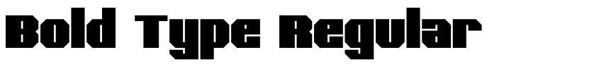 Preview Bold Type Regular