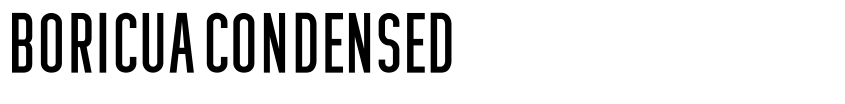 Preview Boricua Condensed