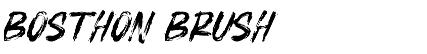 Preview BOSTHON BRUSH