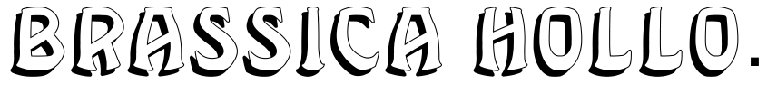 Font Brassica Hollow Regular by Vladimir Nikolic