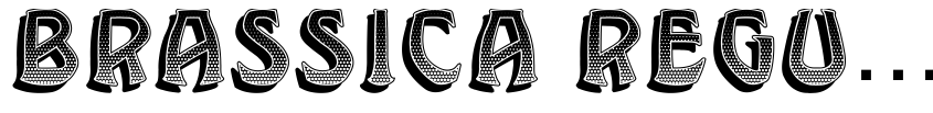 Preview Brassica Regular