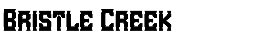 Preview Bristle Creek