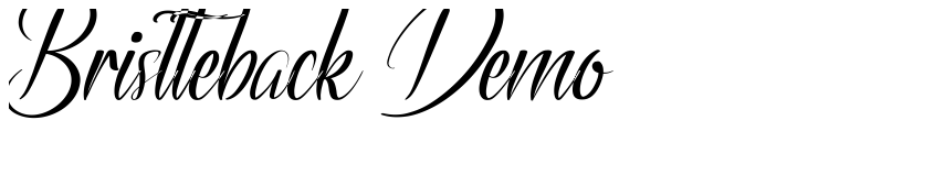 Preview Bristteback Demo