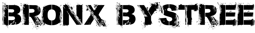 Preview Bronx Bystreets