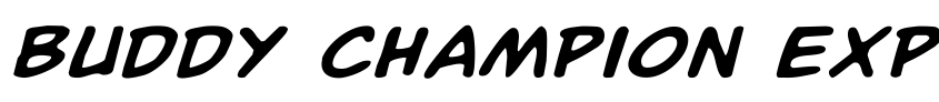 Preview Buddy Champion Expanded Italic