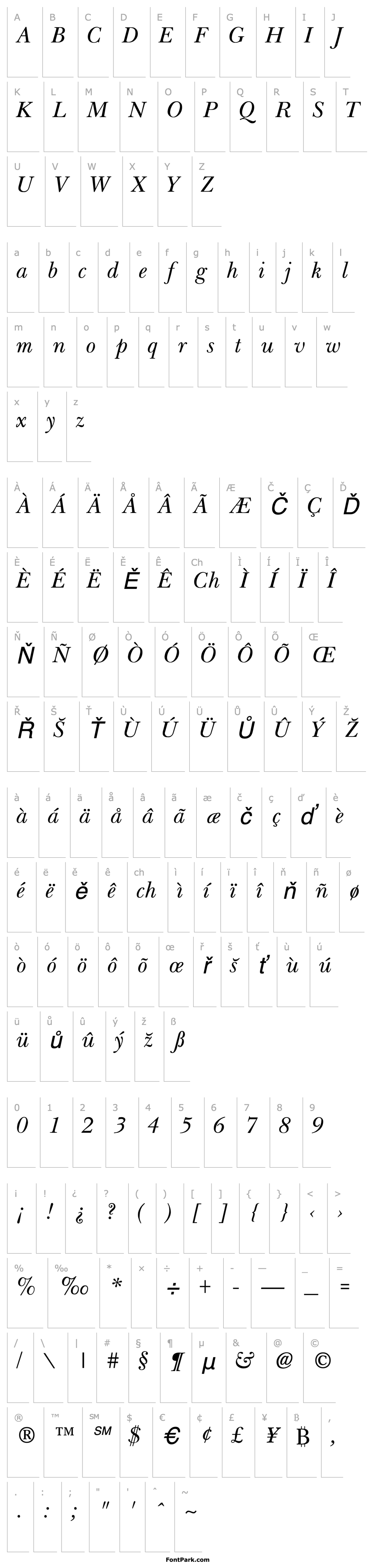 Overview Basset Italic