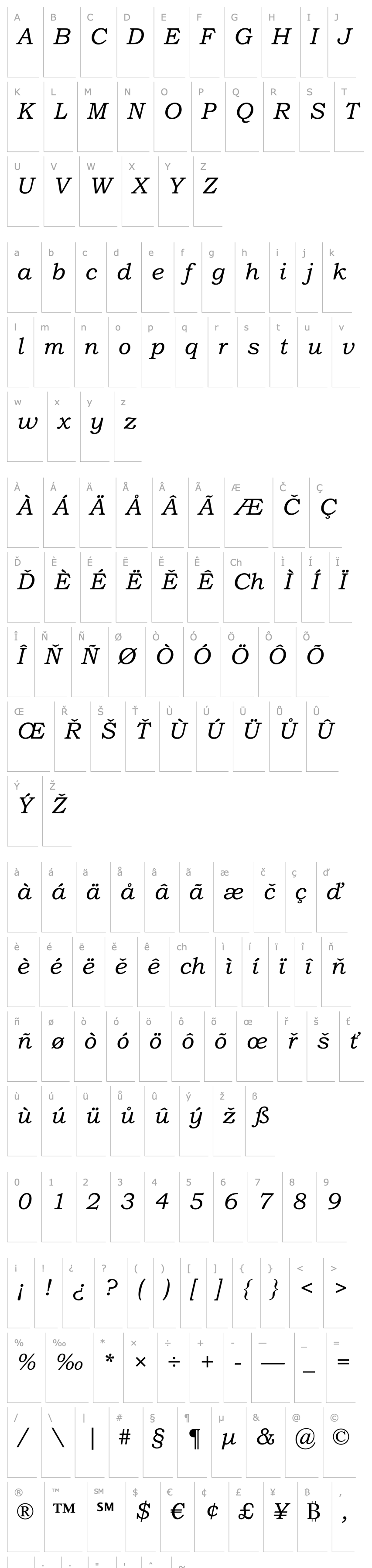 Overview Bookman Old Style Italic