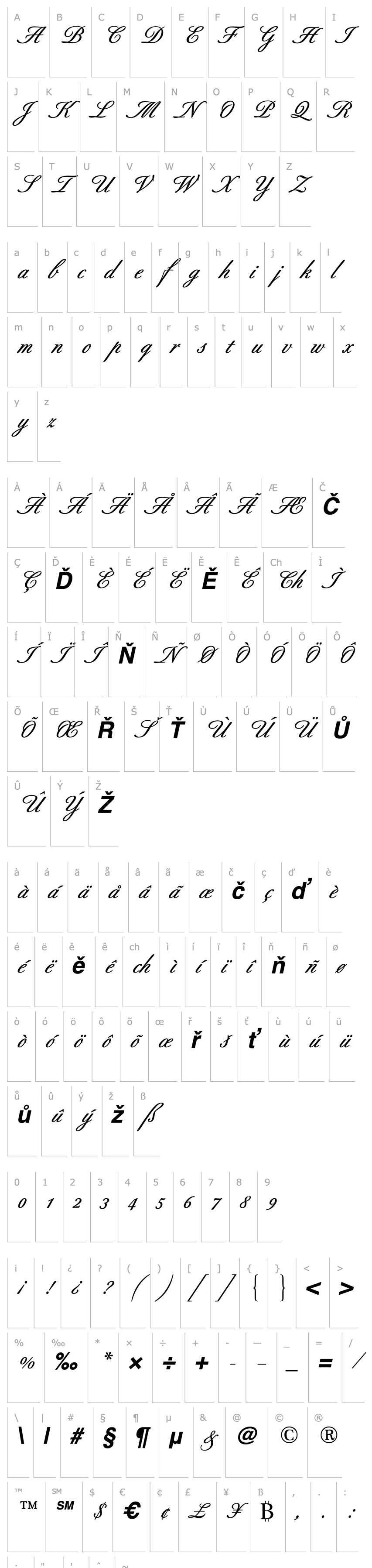 Přehled Berthold-Script Medium