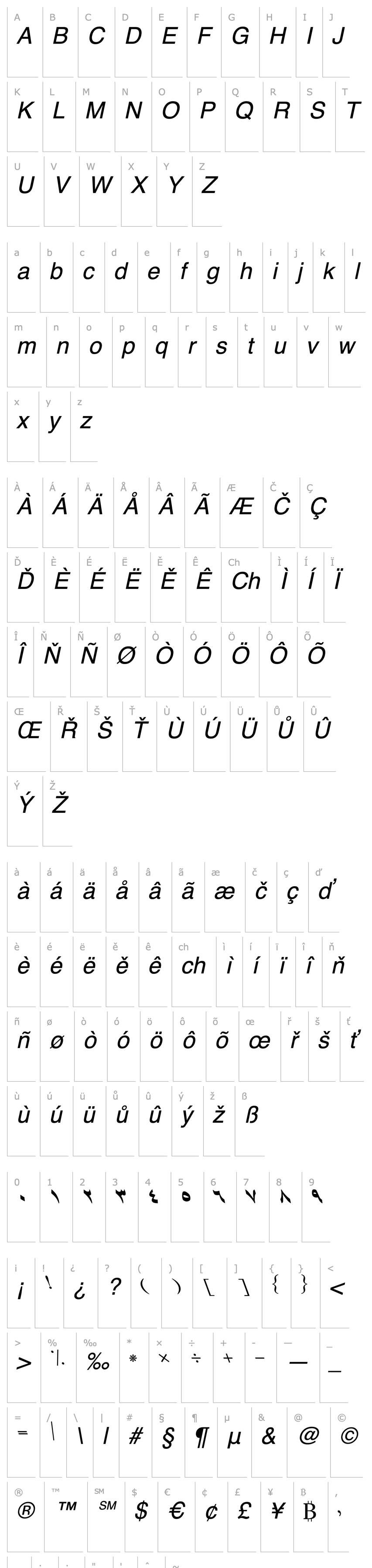 Overview B Shiraz Italic