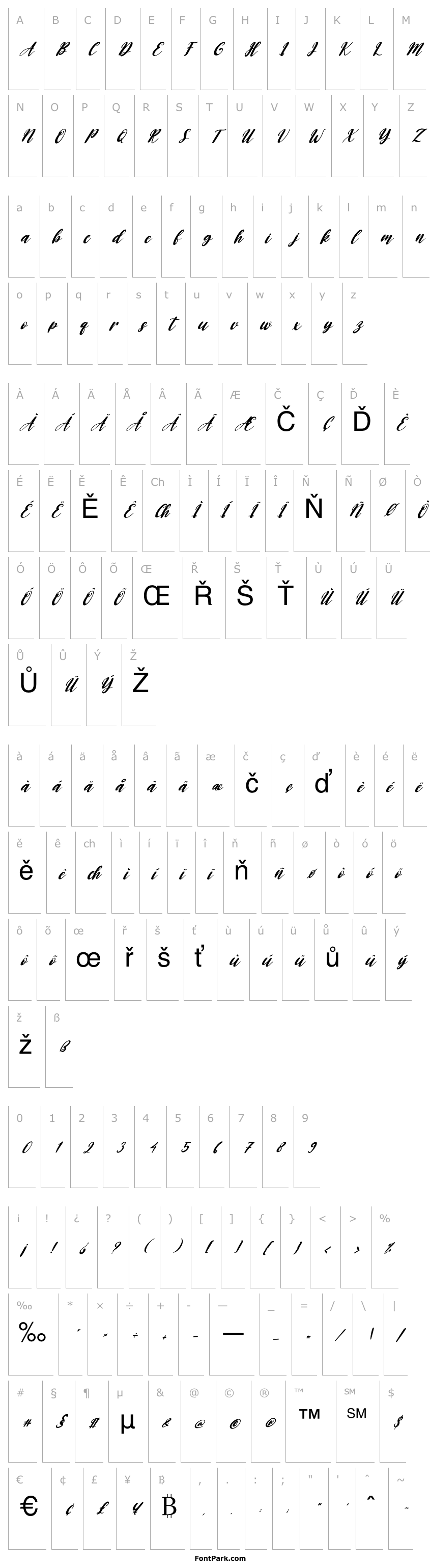 Overview Baby Doll Italic