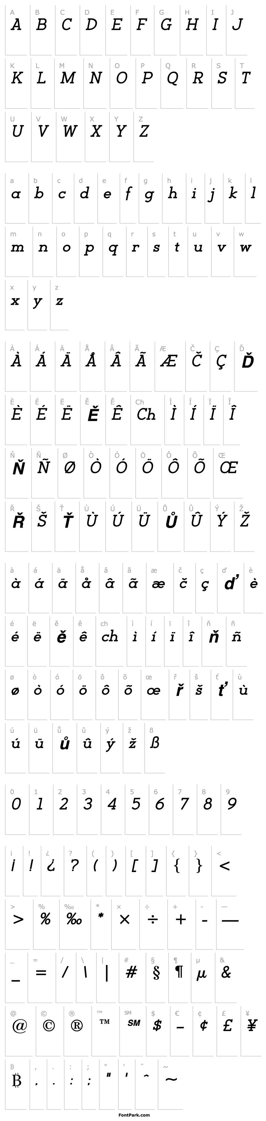 Overview BacktalkSerif BTN BoldOblique