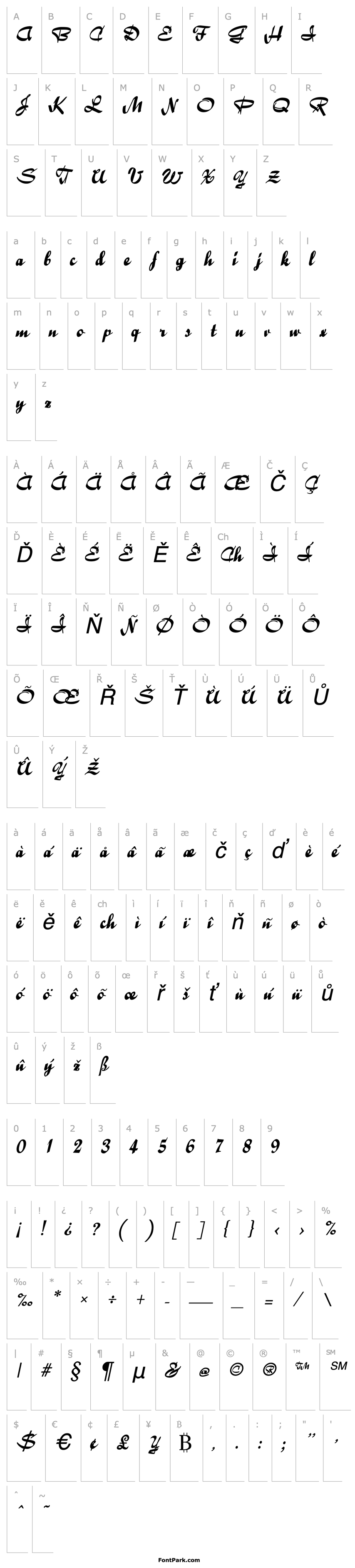 Overview Bailey Italic