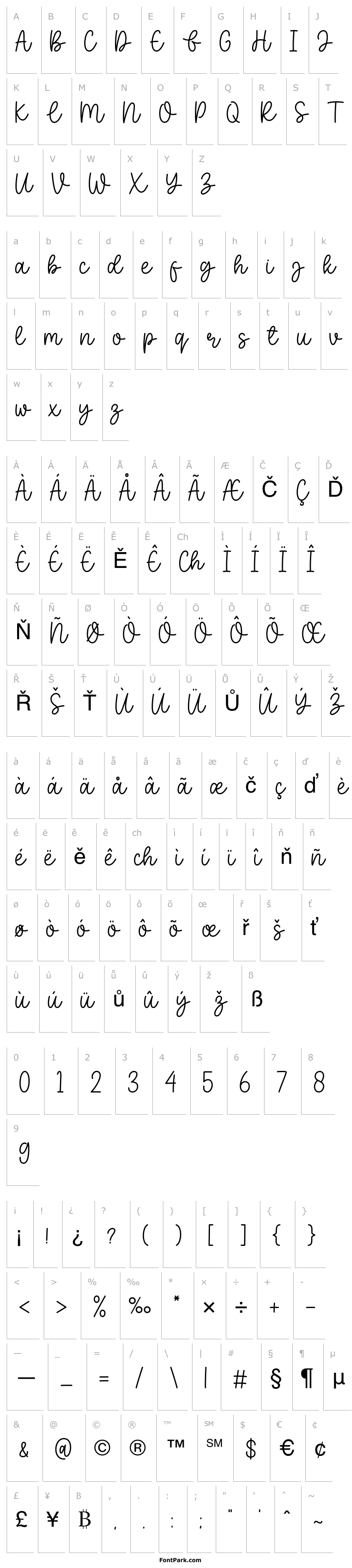 Přehled Baleno Handi