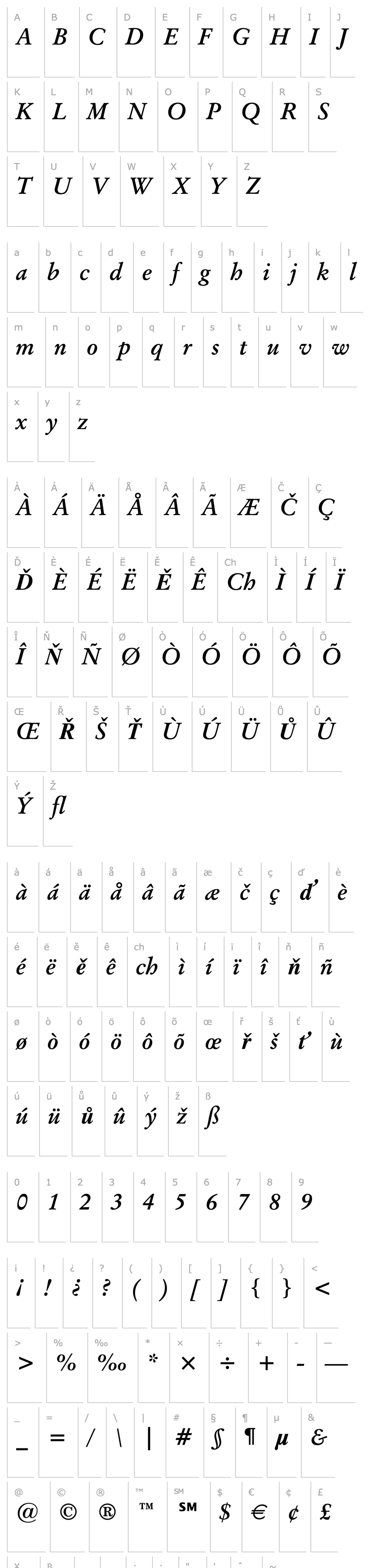 Přehled Baramond Bold Italic