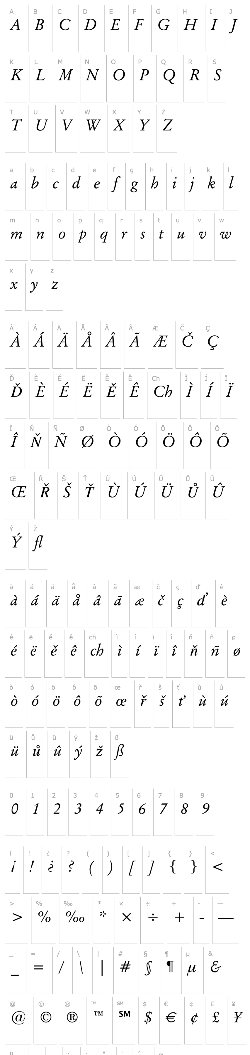 Přehled Baramond Italic