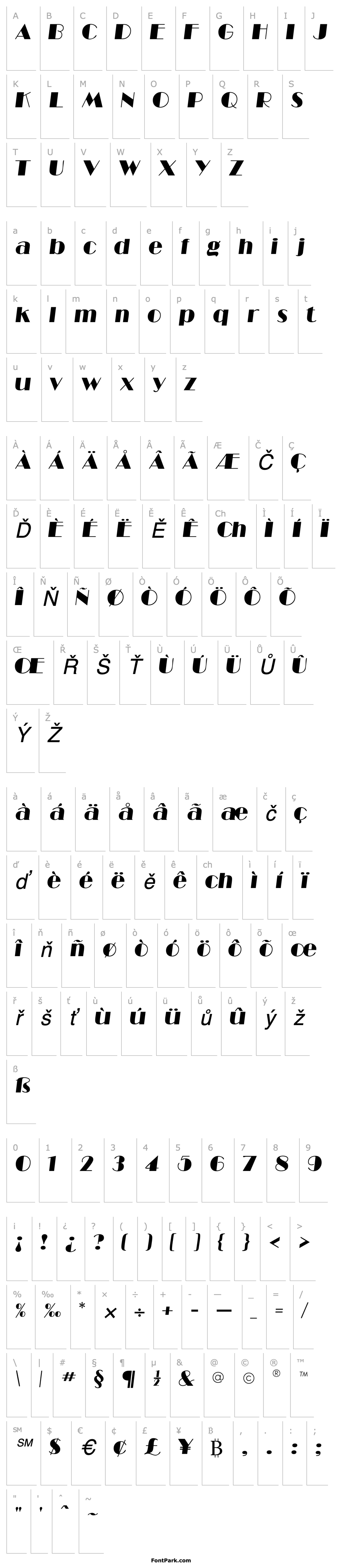 Přehled BarbeDisplaySSK Italic