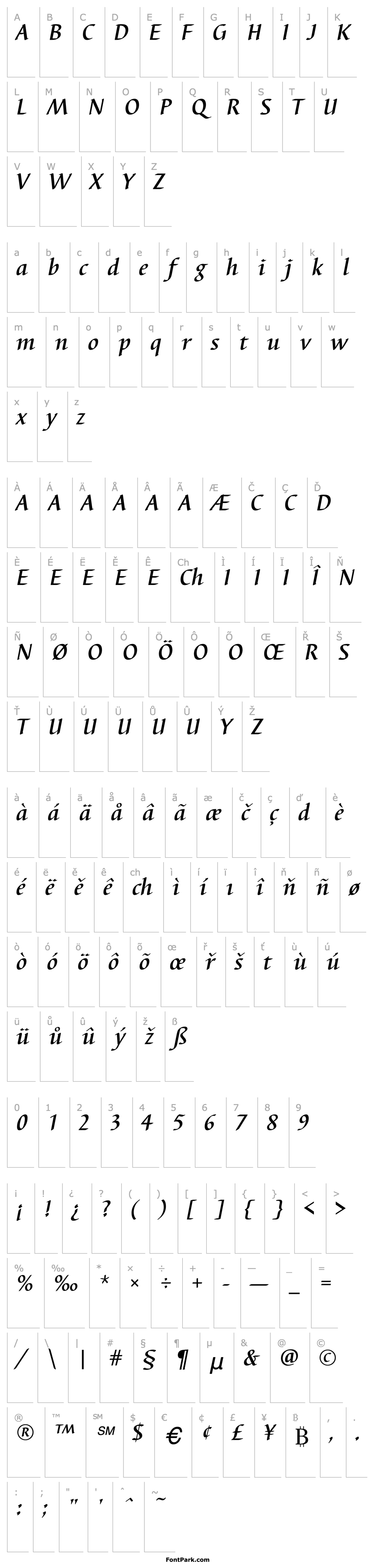 Overview Barbedor T Medium Italic