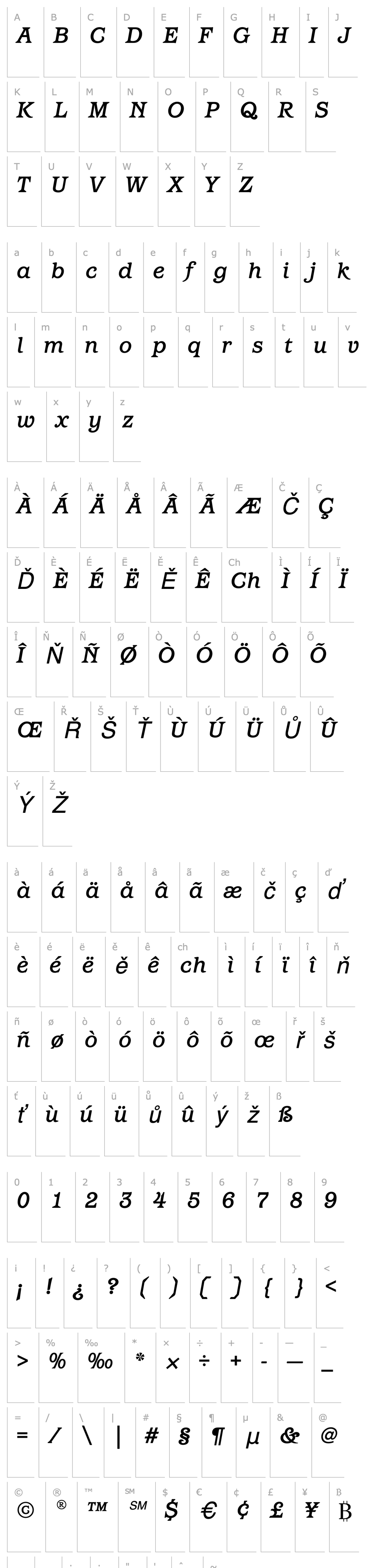 Přehled BarcelonaEF-MediumItalic