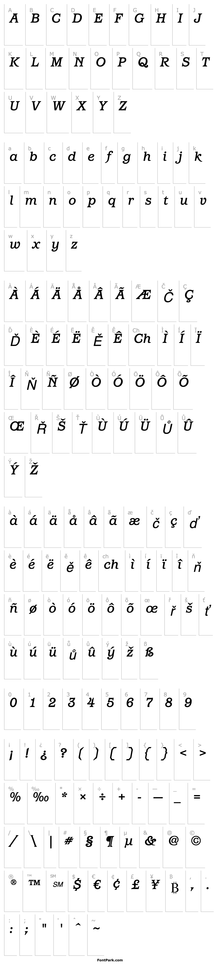 Přehled BarcelonaITCStd-MediumItalic