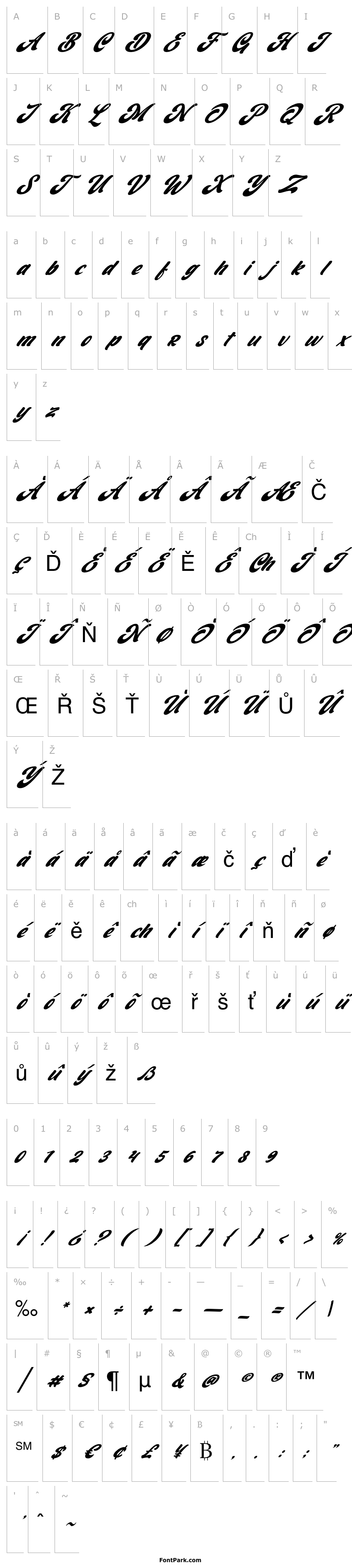 Přehled Barqish Italic