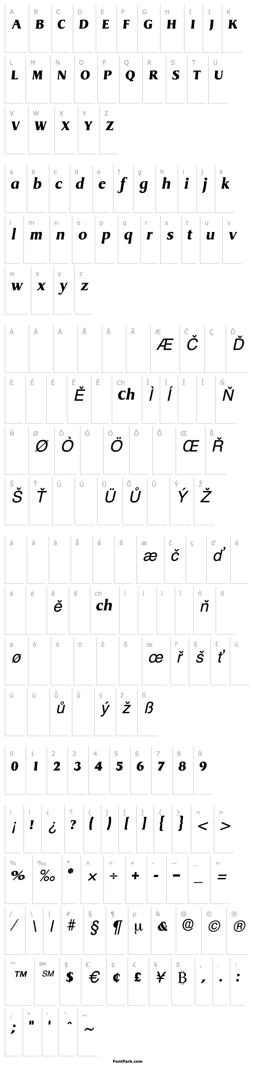 Přehled BaryonDisplaySSK Italic