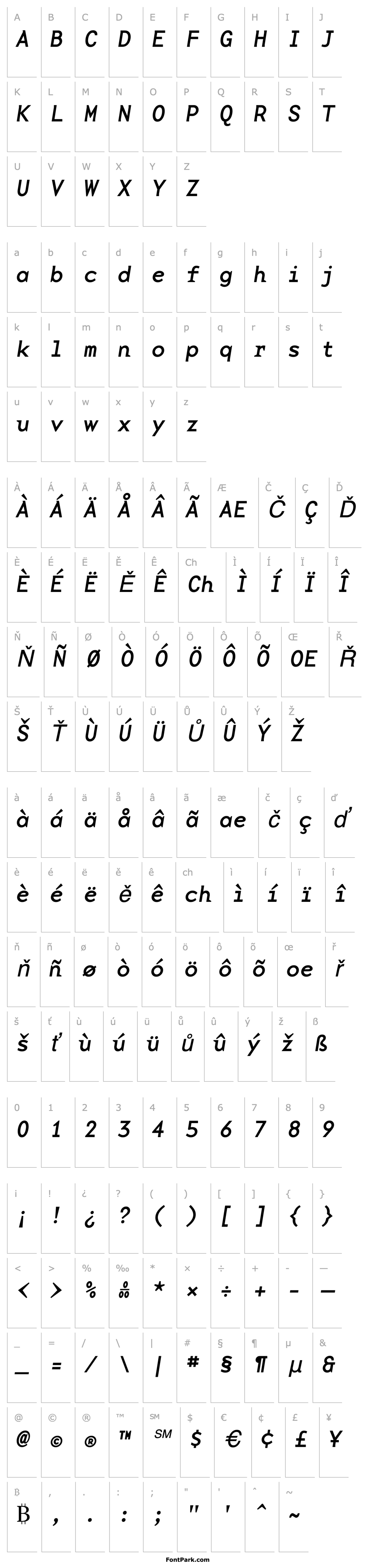 Přehled BaseMonoWideRegItalic Italic