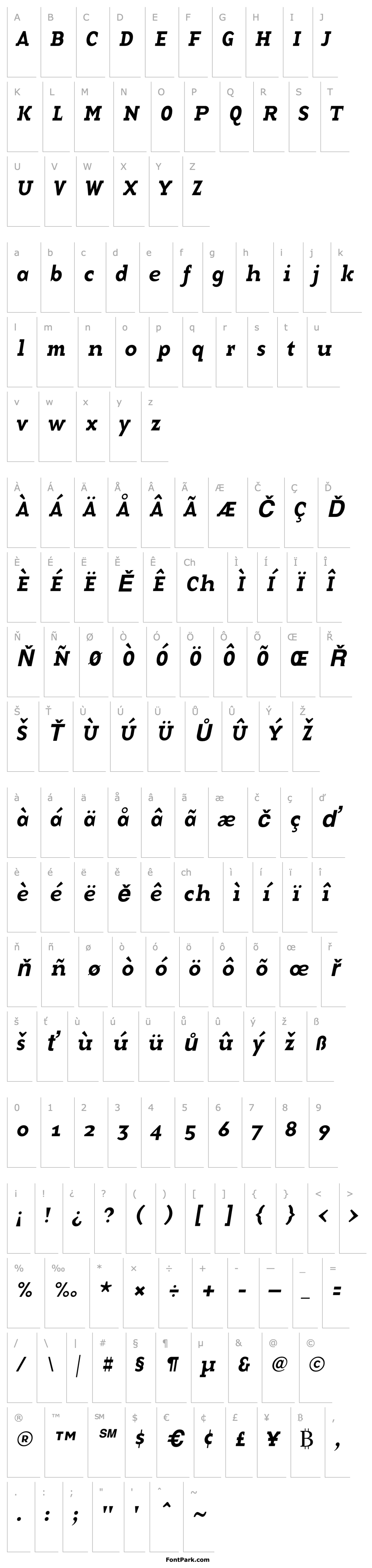 Overview BaseTwelveSerif, Italic