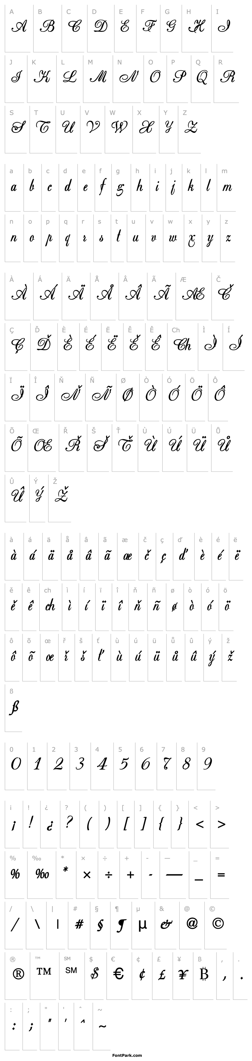 Overview Basic Class A SP Bold