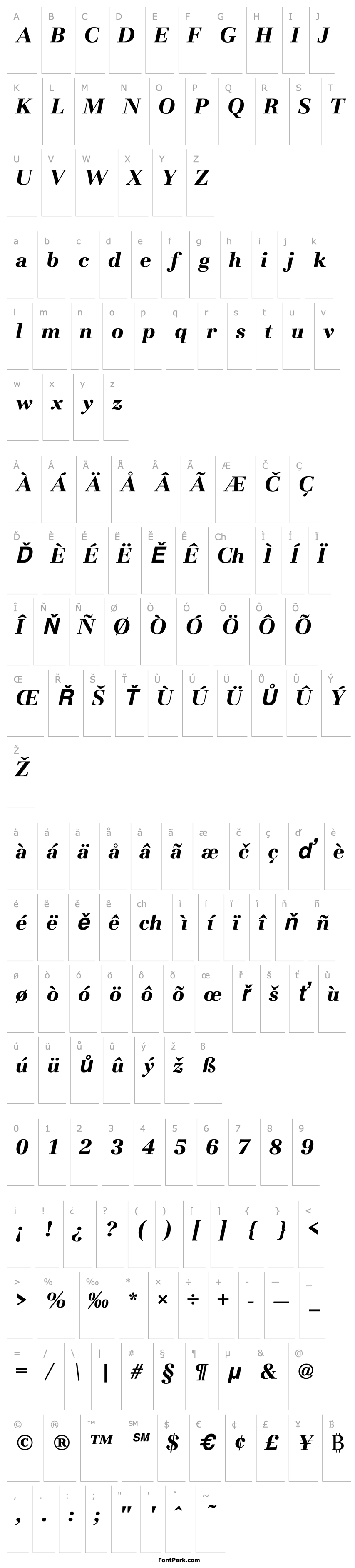 Overview BasiliaT Bold Italic