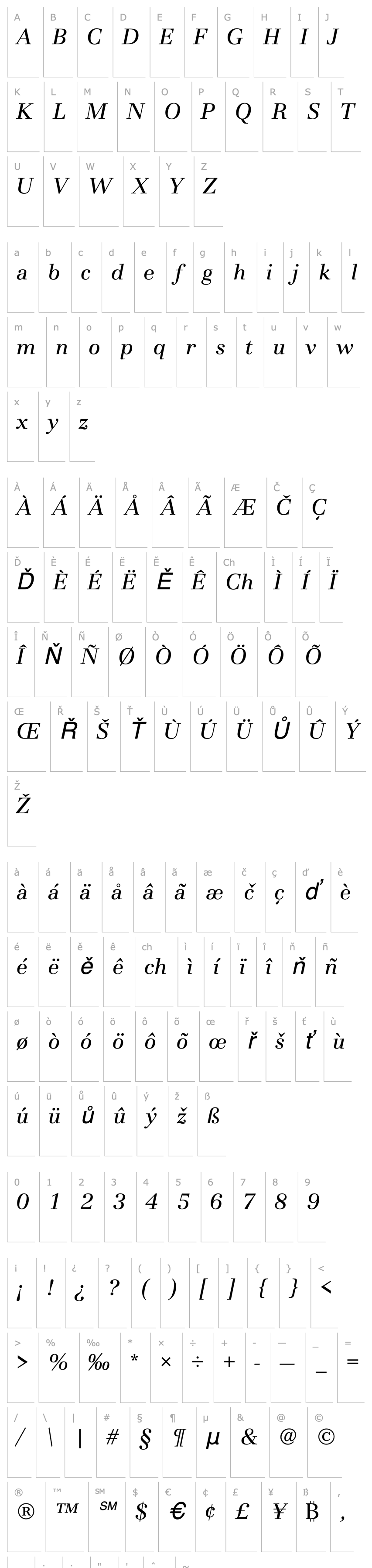 Overview BasiliaT Italic