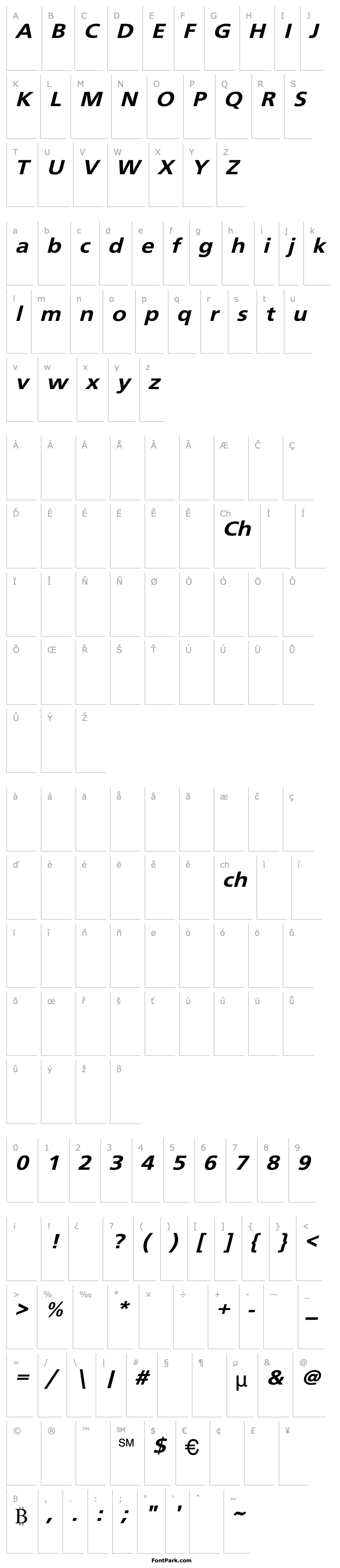 Přehled Basler  Expanded Oblique 3