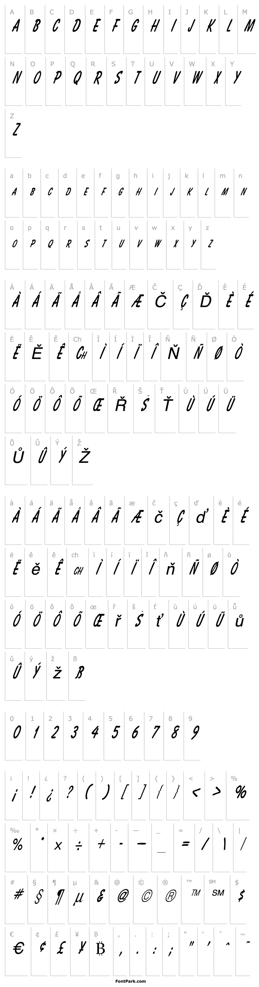 Overview Bassett Thin Italic